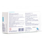 리벨서스 rybelsus