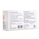 리벨서스 rybelsus