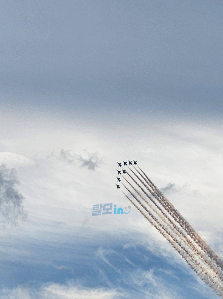 핀페시아 600정 photo review