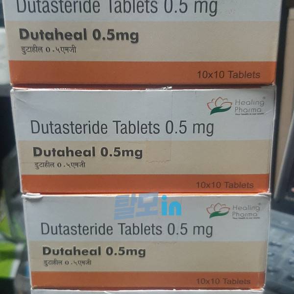 두타힐 500정 photo review